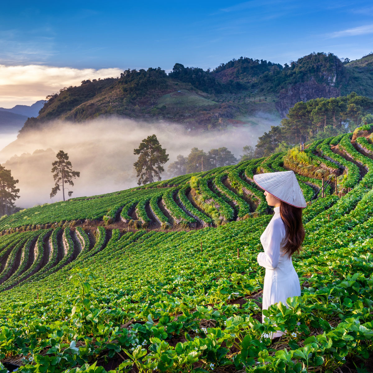 BẢO HIỂM DU LỊCH - TRONG NƯỚC (CÁ NHÂN)